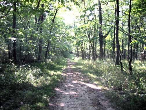 [Photo of trail at Allerton Park]