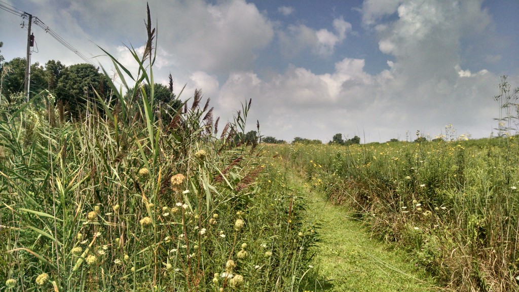 Prairie Path