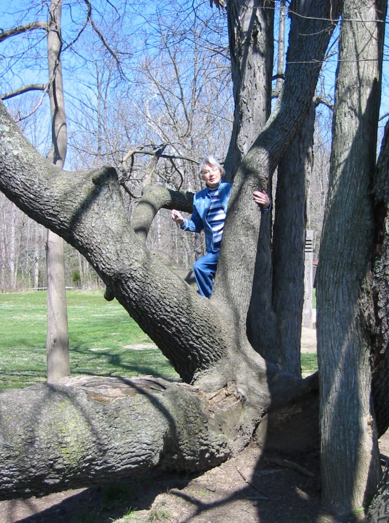 Picture of Barbara Land having climbed a tree