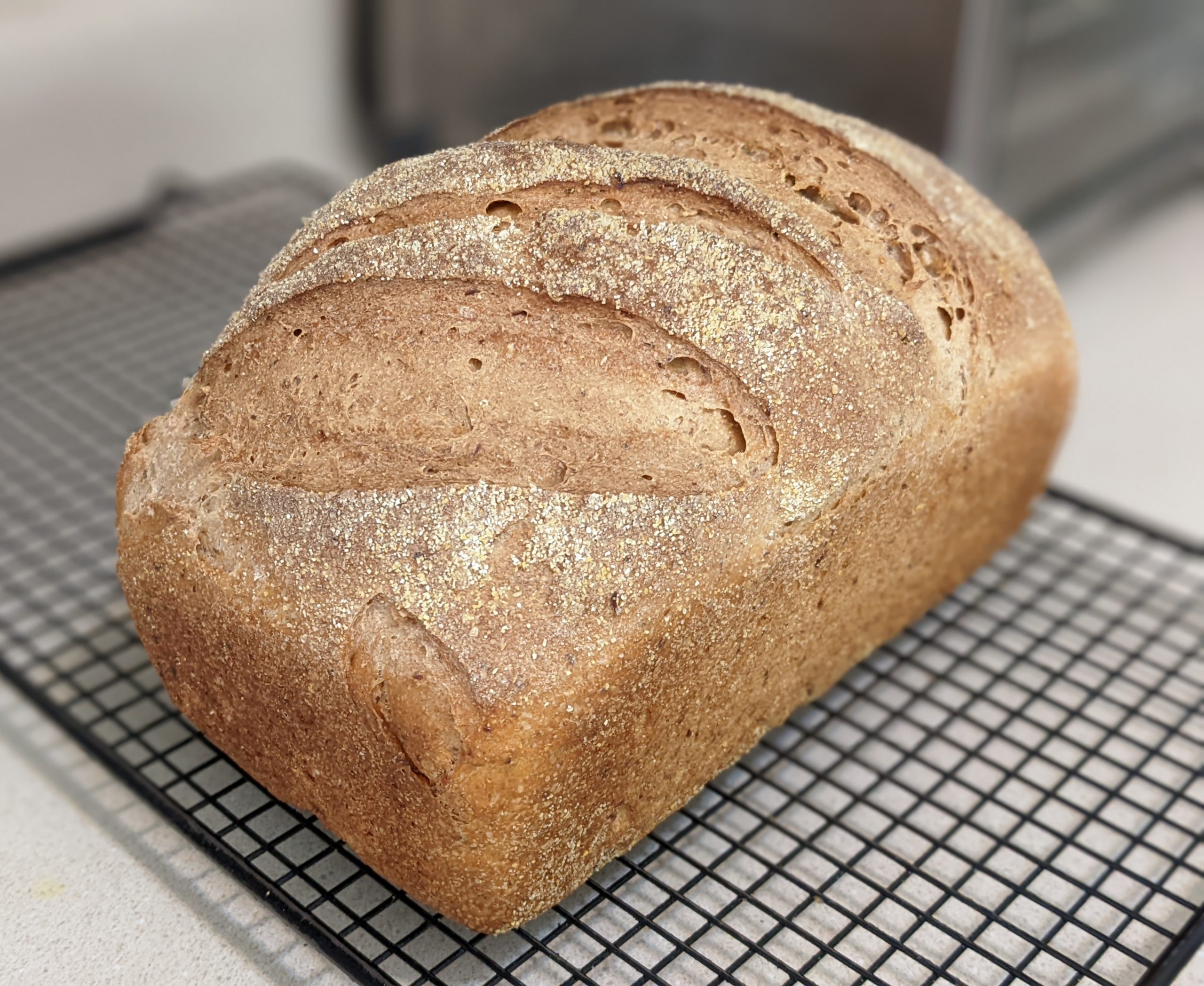 Photo of a loaf of fresh-baked sourdough bread.