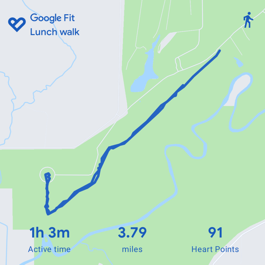 Map of my run from the Allerton Park visitor's center out to (and around) the Sunsinger sculpture and then back.