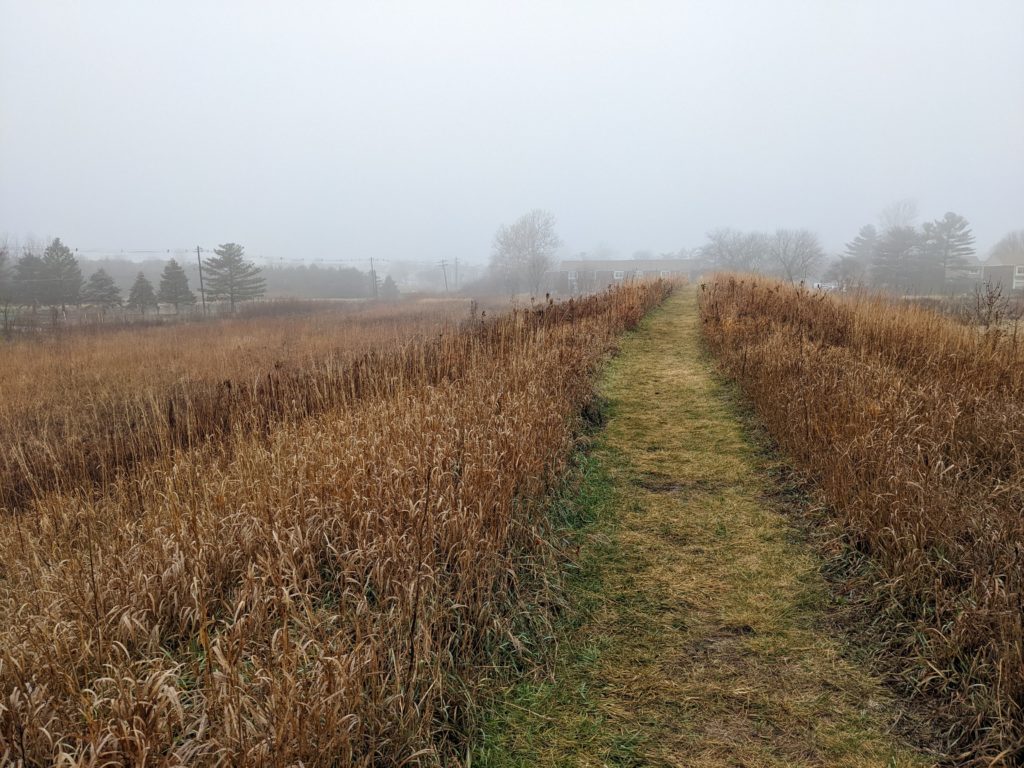 View of the prairie on a foggy morning