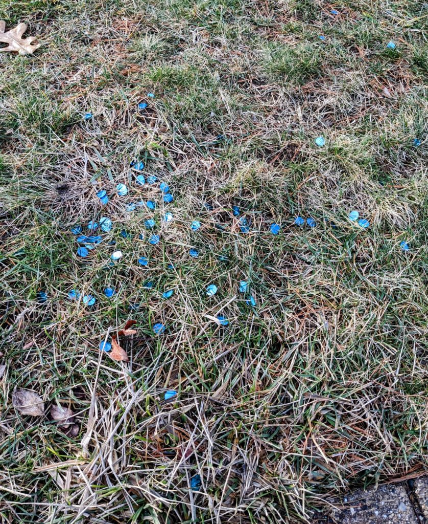 A bunch of blue sequins scattered on the lawn
