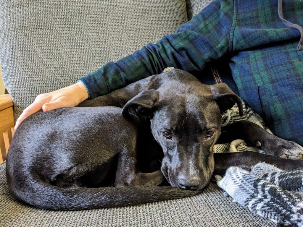 Ashley curled up on the sofa next to Jackie