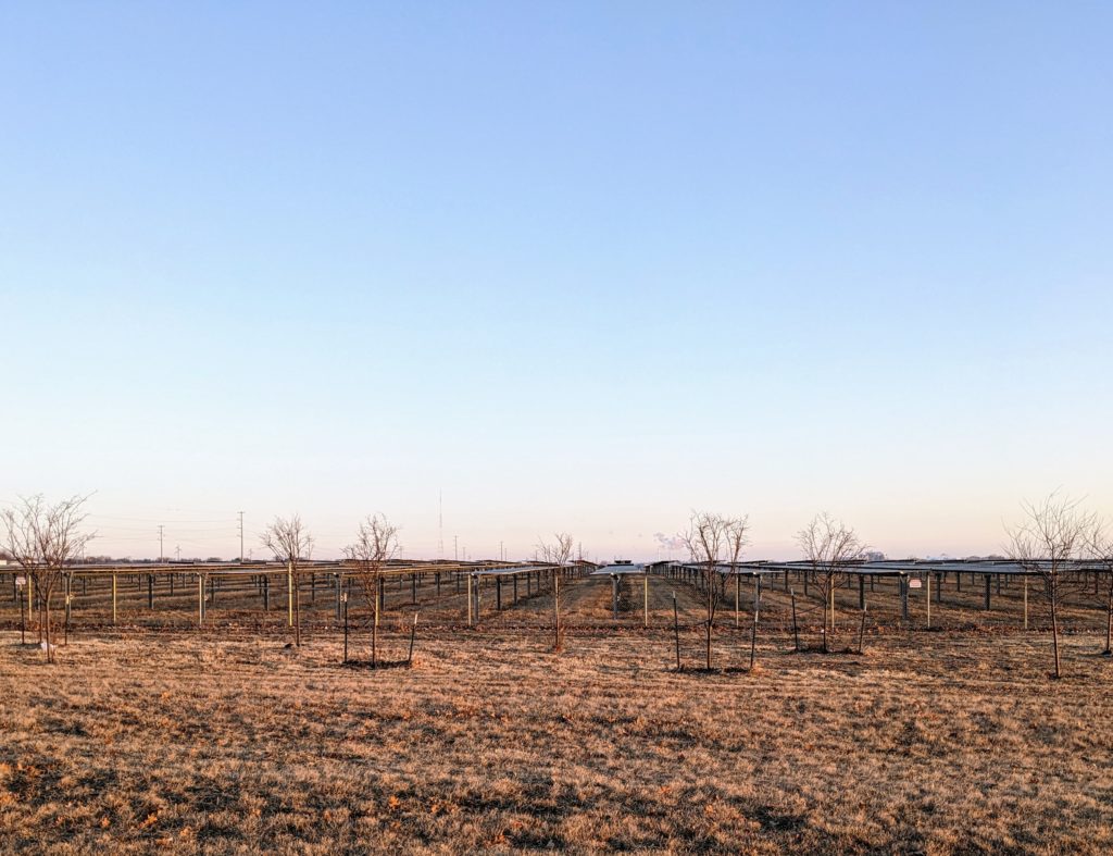 Array of solar panels pointing pretty much straight up