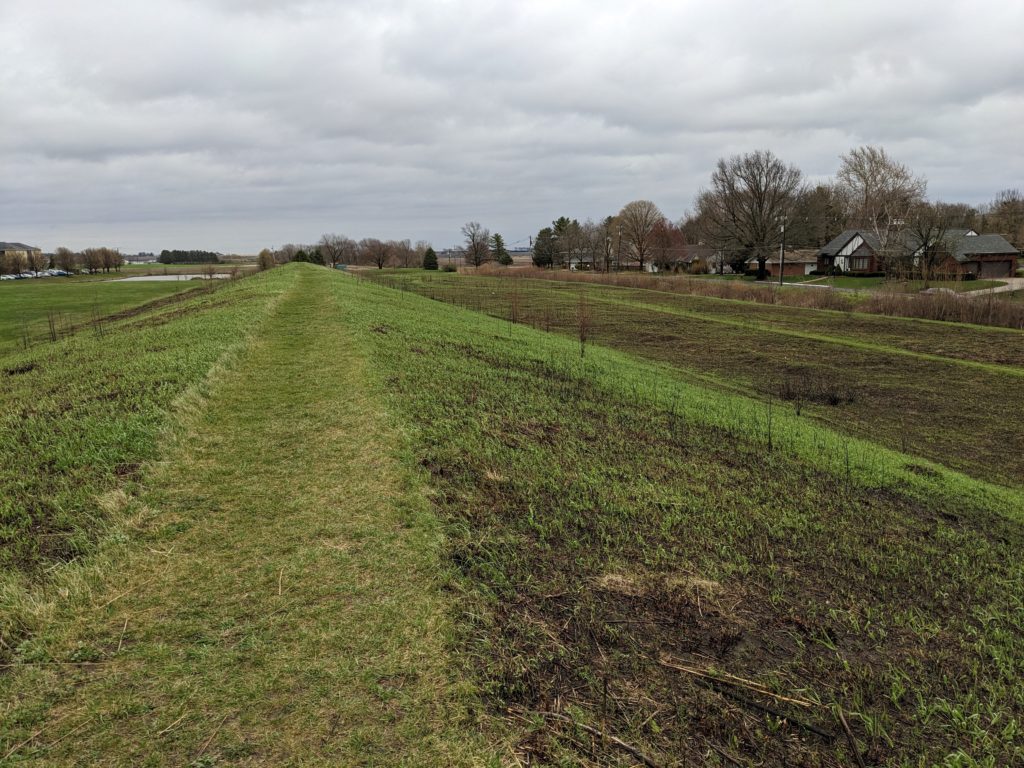 View of prairie covered with green sprouts growing out of recently burned surface