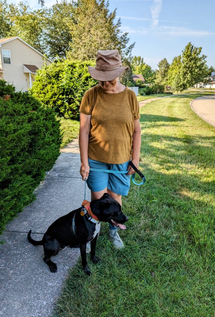 A dog on a leash standing on the sidewalk next to a woman with the leash in her hands