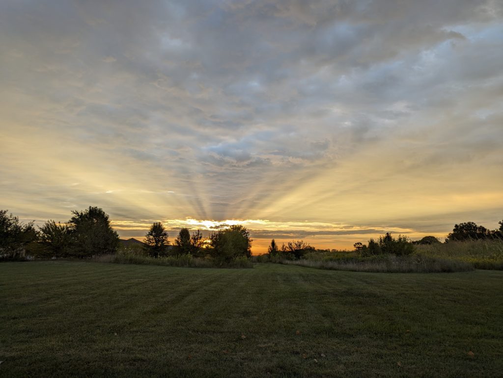 Sunbeams from the just-risen sun across the grassy sward next to the prairie