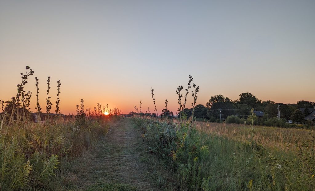 Sunrise over the prairie