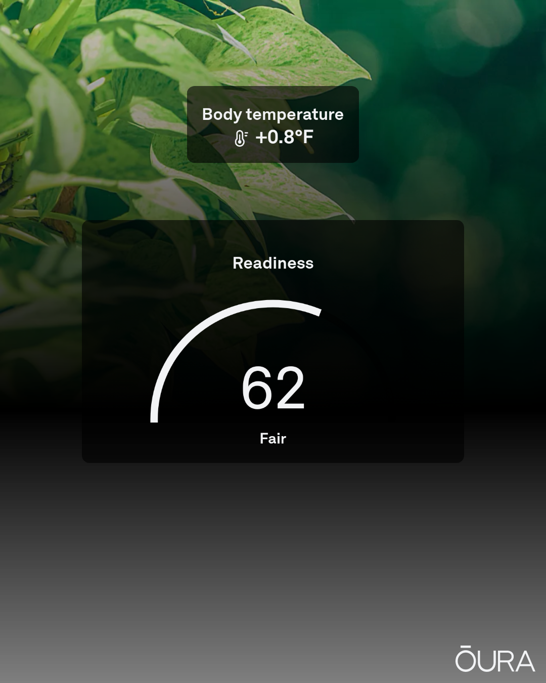 Share of Oura ring readiness score, showing my overnight body temperature elevated by 0.8℉ above baseline.