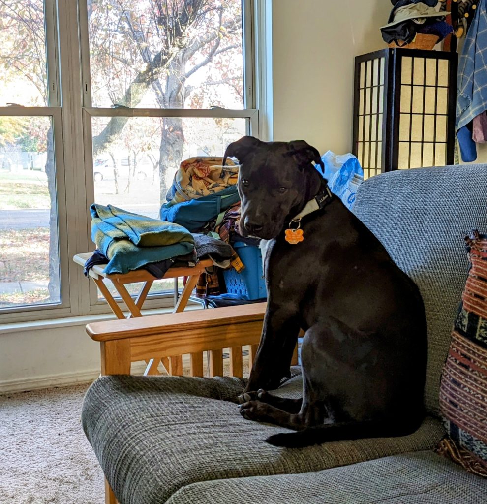 Ashley sitting on the sofa