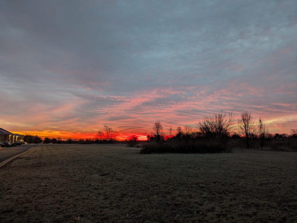 Dawn sky over a grassy sward, with some silhouetted trees on the horizon