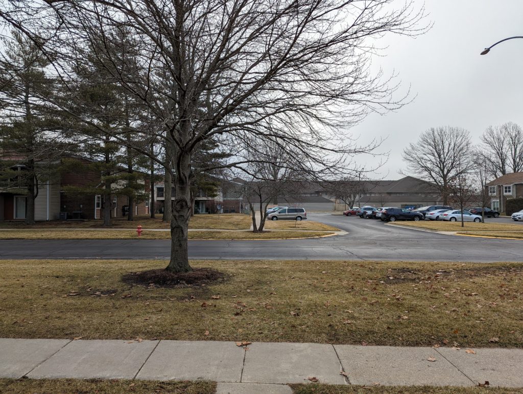 A tree on the edge of the street, with an apartment building and parking lot beyond, and a cloudy sky