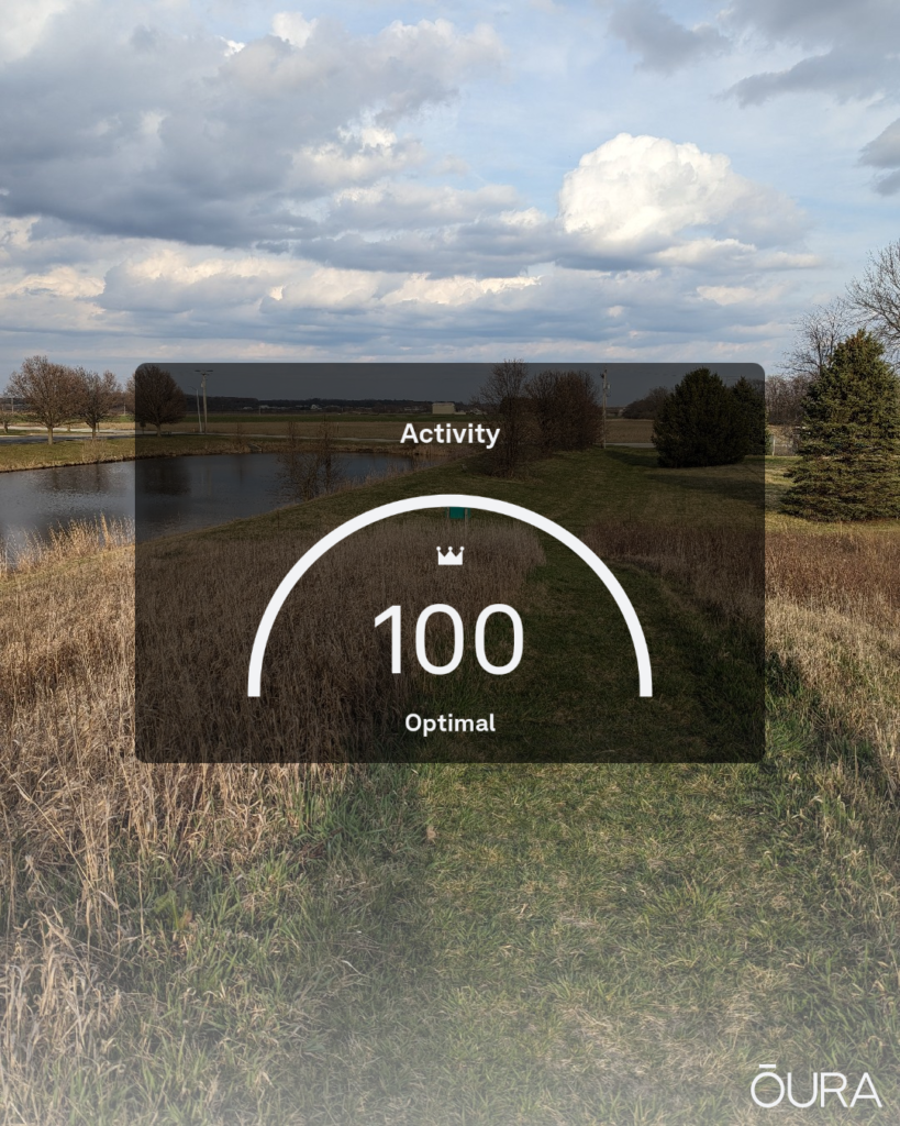 Oura ring activity sticker showing a score of 100, over a picture Great Blue Heron that's too far away to be more than a few pixels in the photo