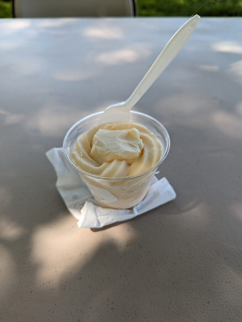 A dish of vanilla ice cream with a spoon in it