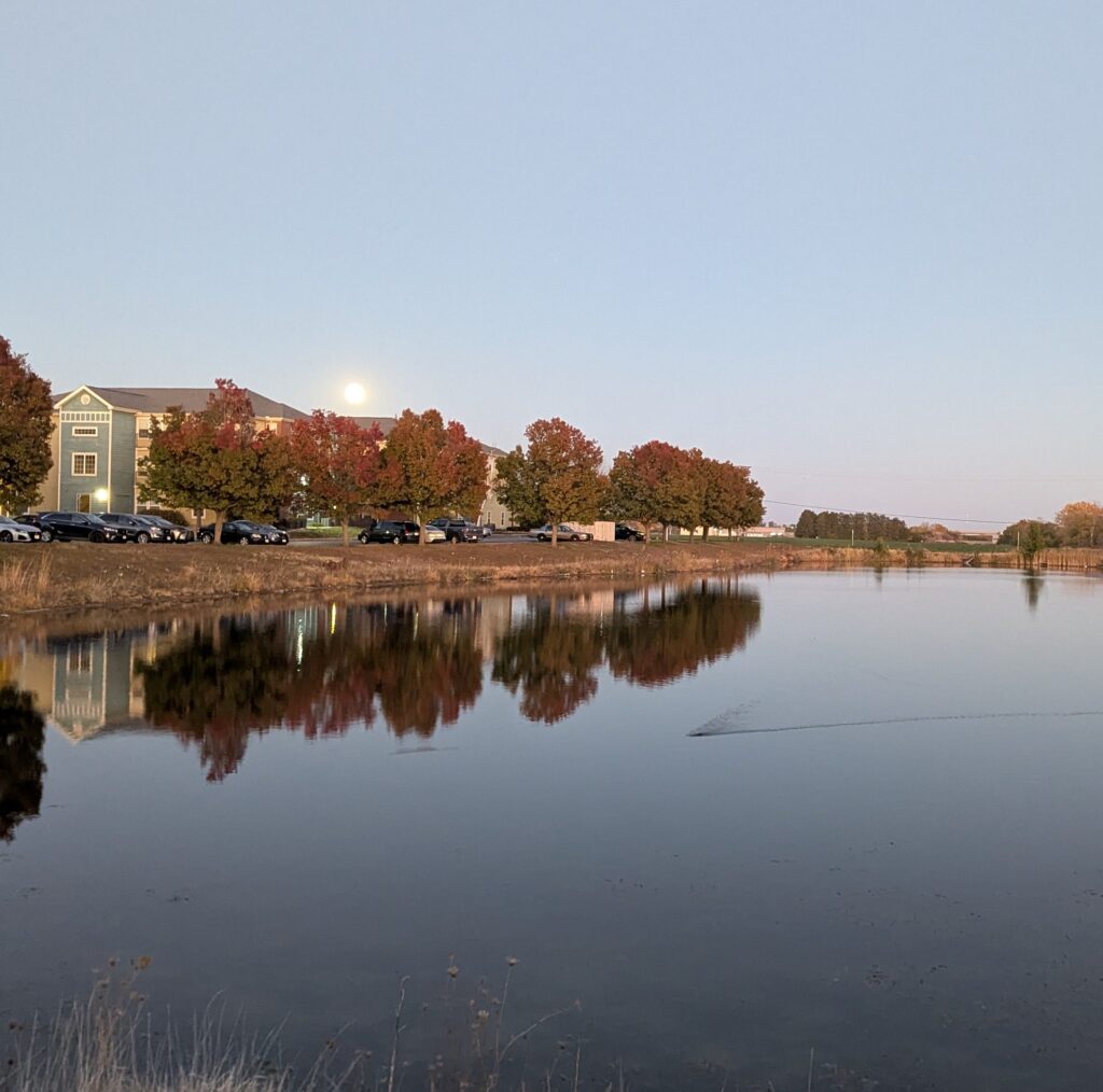 Full moon rising above trees on the other side of a pond, with a ripple visible in the foreground
