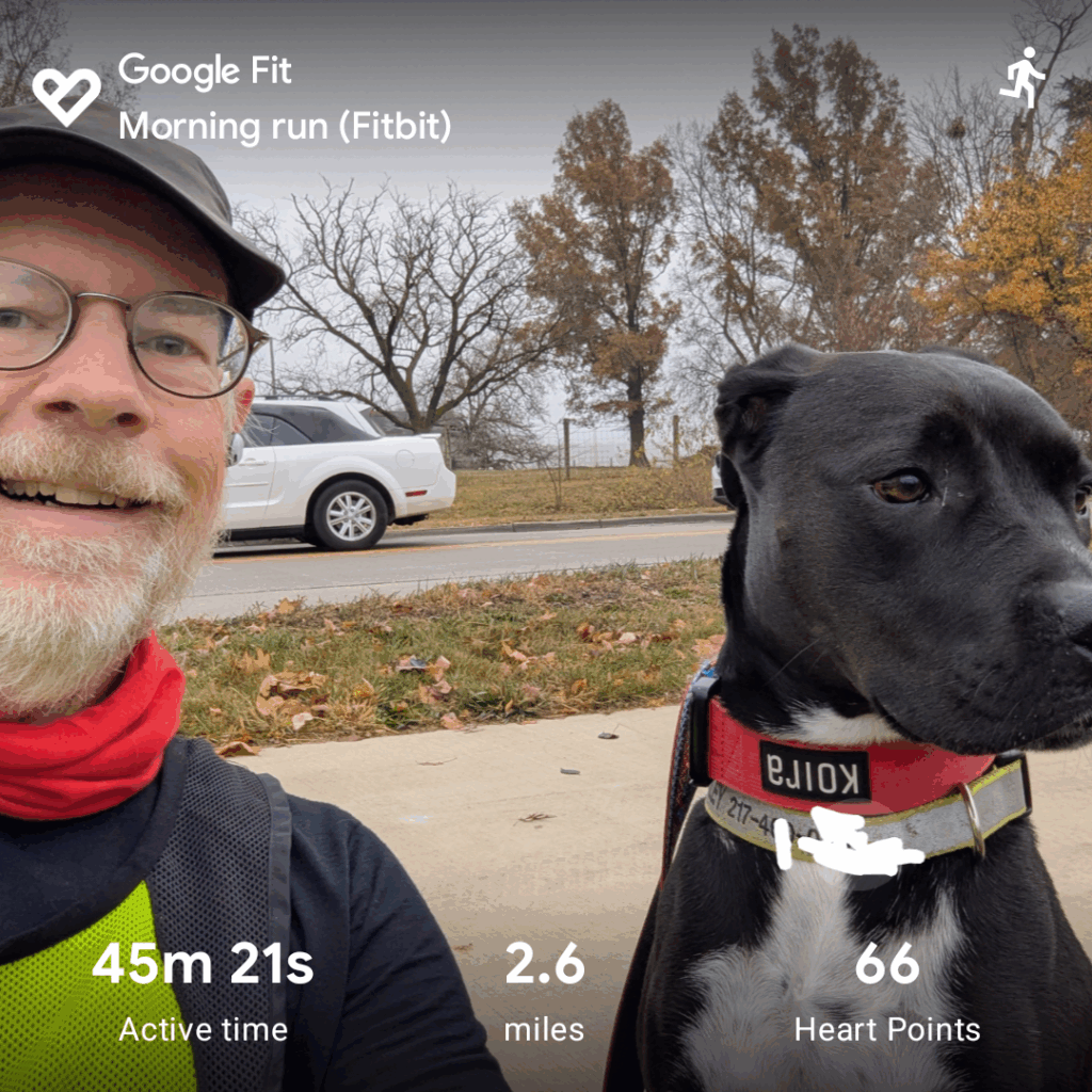Me wearing a cap, red buff, and high-viz vest, together with my dog wearing a blue and red collar and a reflective collar