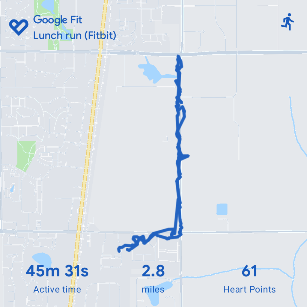 Map of my run, with text saying I went 2.8 miles in 45m 31s.
