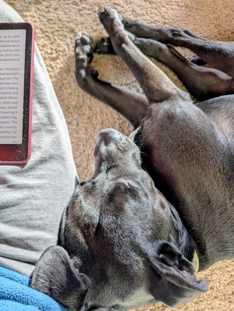 The head of a black dog resting against my thigh, looking the other way