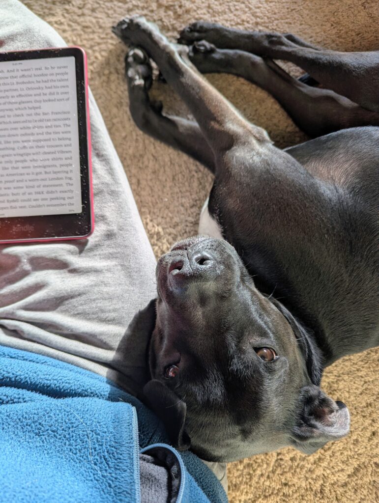 The head of a black dog resting against my thigh, looking toward the camera
