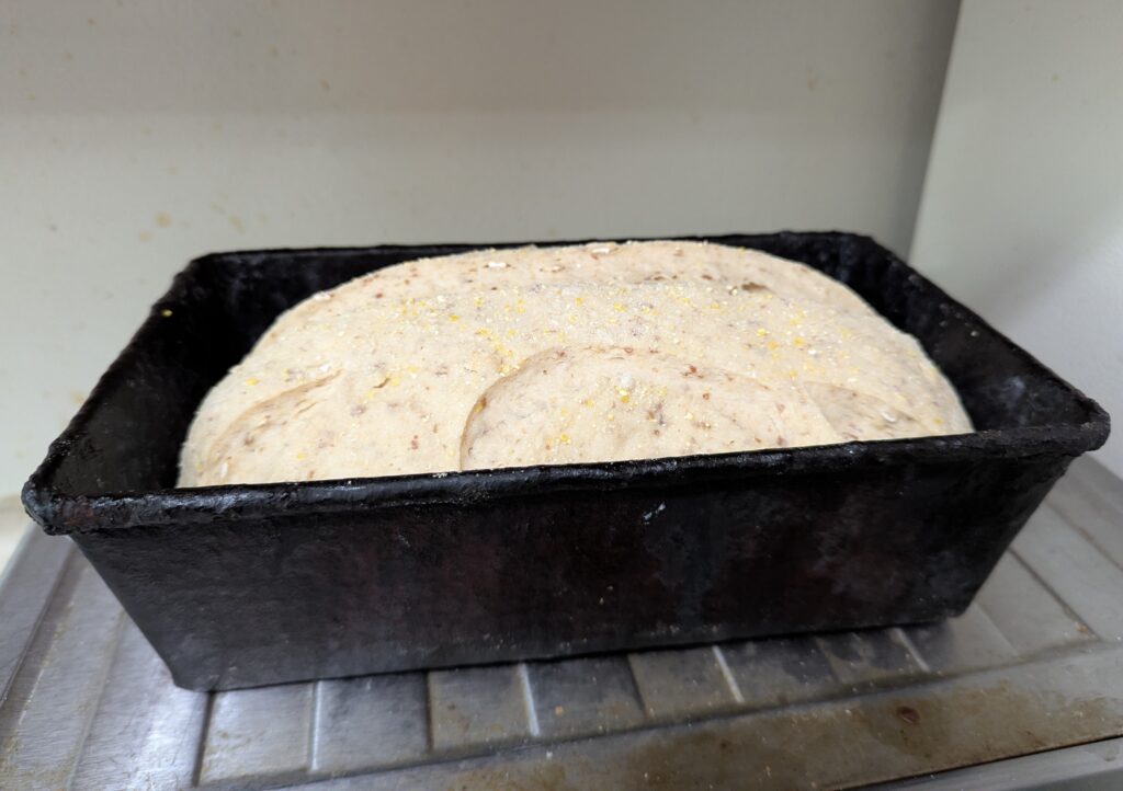 A freshly risen loaf of bread, about to go in the oven