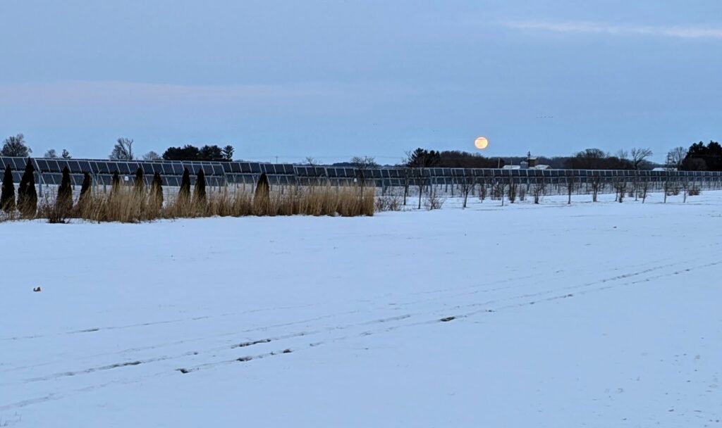 A full moon rising over the solar farm, with trees and snow