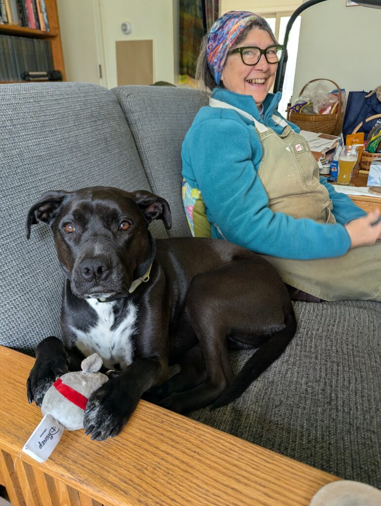 In the foreground, a dog with a toy between its paws. In the background, a woman looking surprised and pleased.