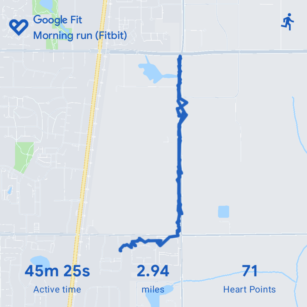 Map showing my running route, with stats: 45min 25s, 2.94 miles