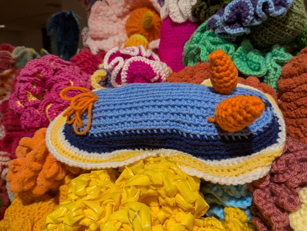 A crocheted sea slug
