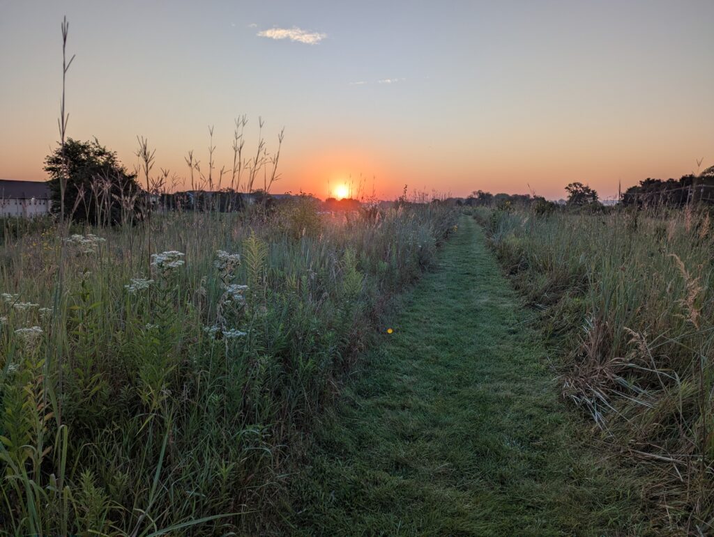 Orange sun rising in a dawn sky as viewed over a tallgrass prairie with big bluestem and other prairie plants