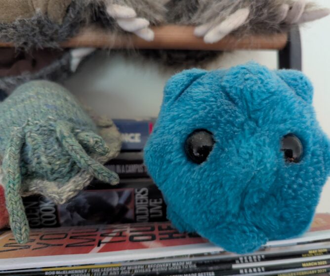 A slug stuffie next to a rhinovirus stuffie
